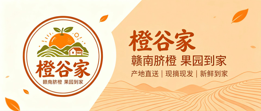 橙谷家赣南脐橙家庭装约 10 斤